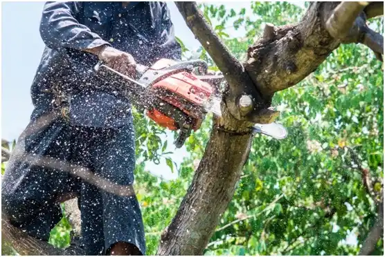 tree services Wellsville